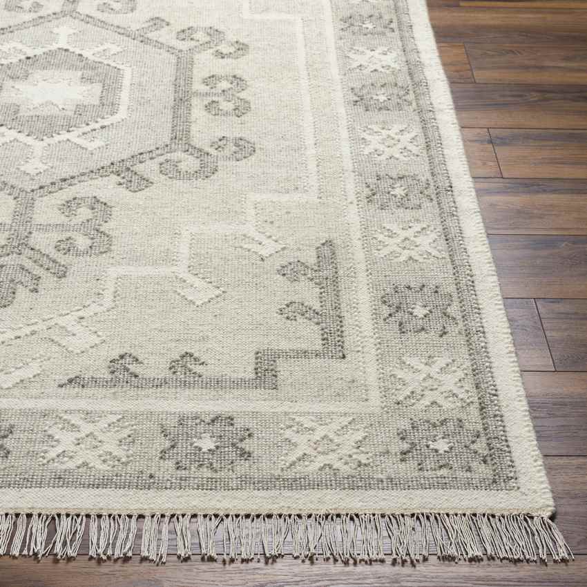 Louisburg Traditional Smoke Gray/Beige Area Rug