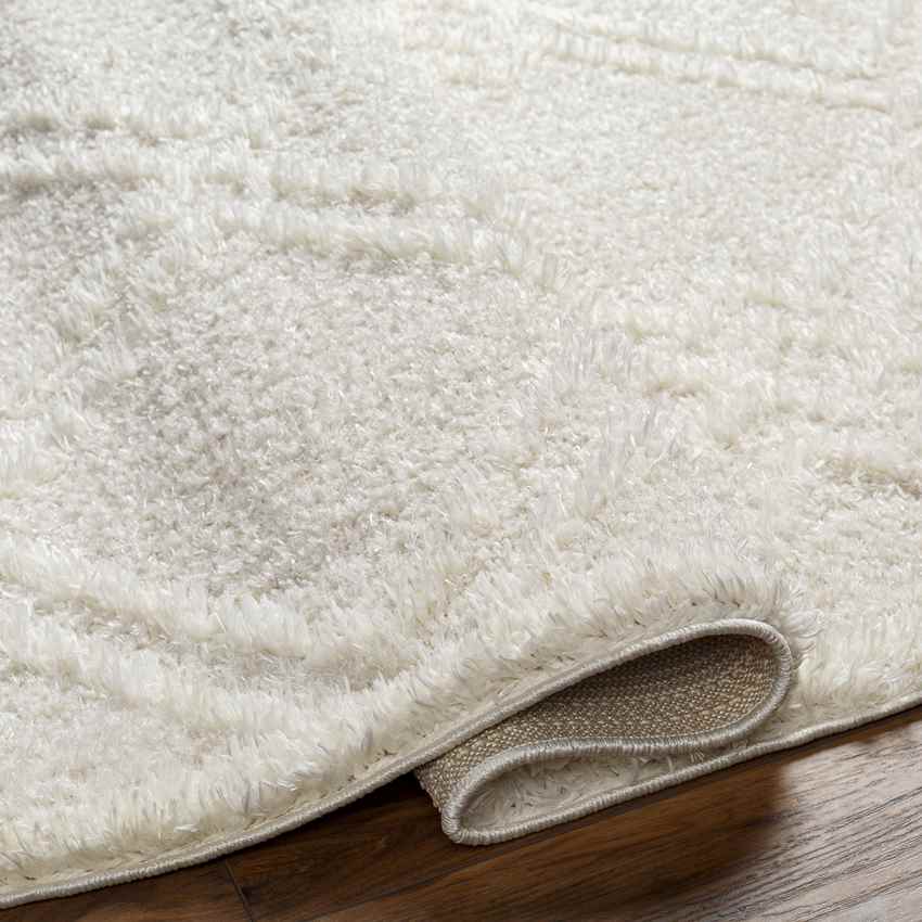 Lake Creek Modern Light Gray Area Rug