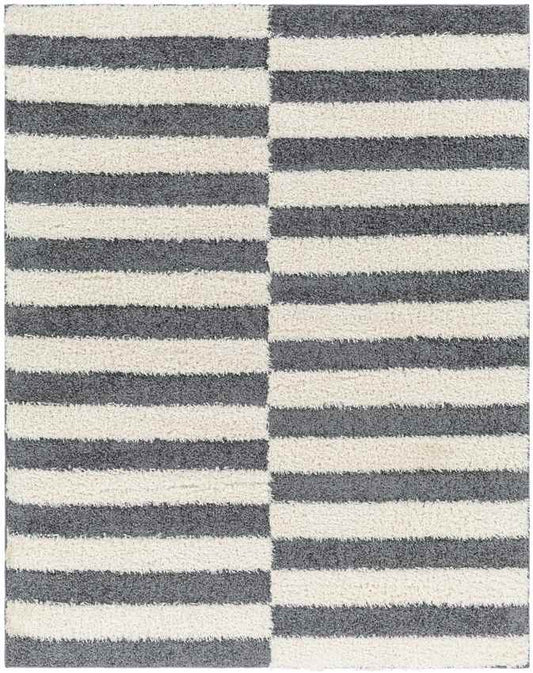 Lodomillo Modern Charcoal Area Rug