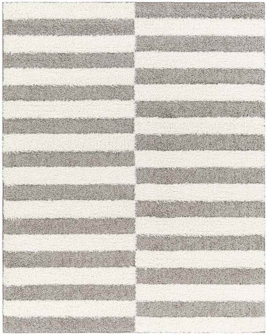 Lodomillo Modern Medium Gray Area Rug