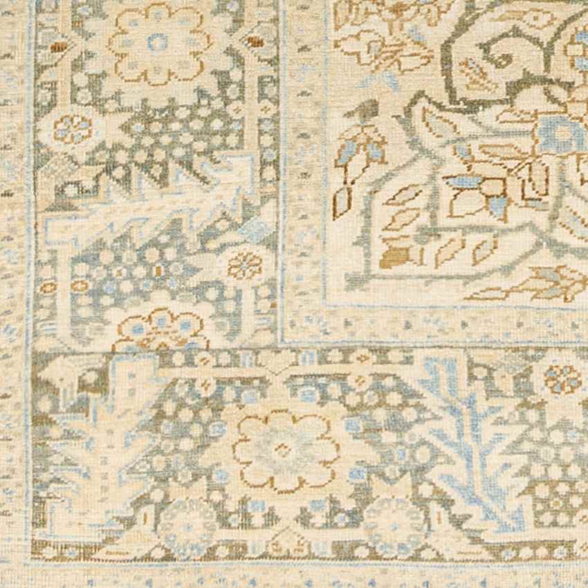 East Lincoln Traditional Light Brown Area Rug