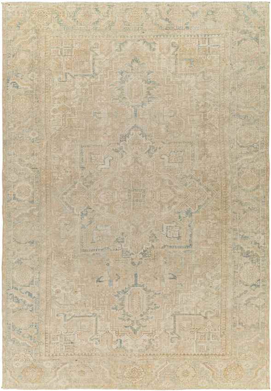 Spring Mill Traditional Light Beige Area Rug