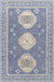 Bradfordsville Traditional Denim Area Rug