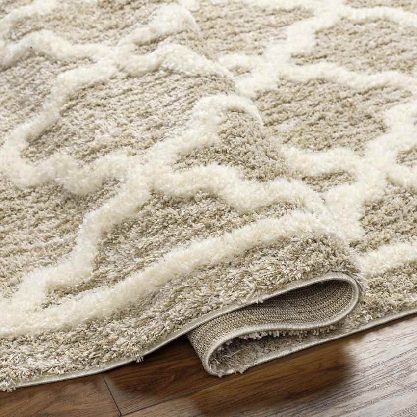 Clay Center Global Brown Area Rug