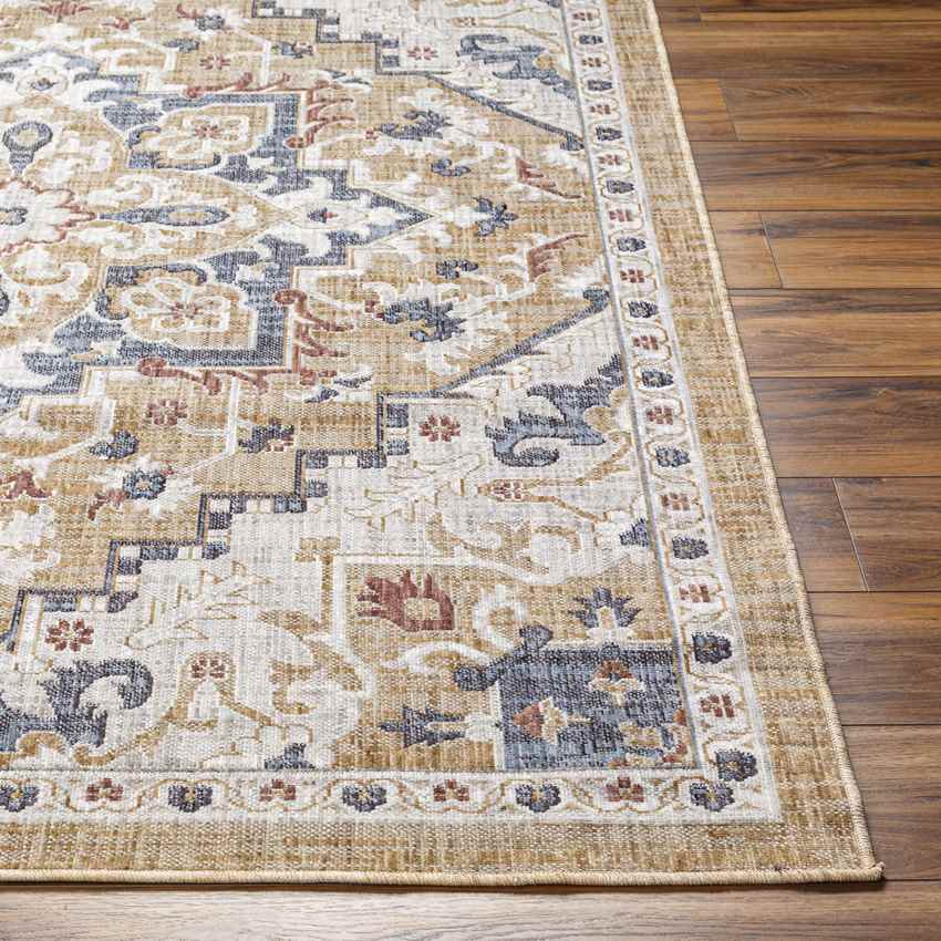 Morrowville Traditional Light Rust Area Rug
