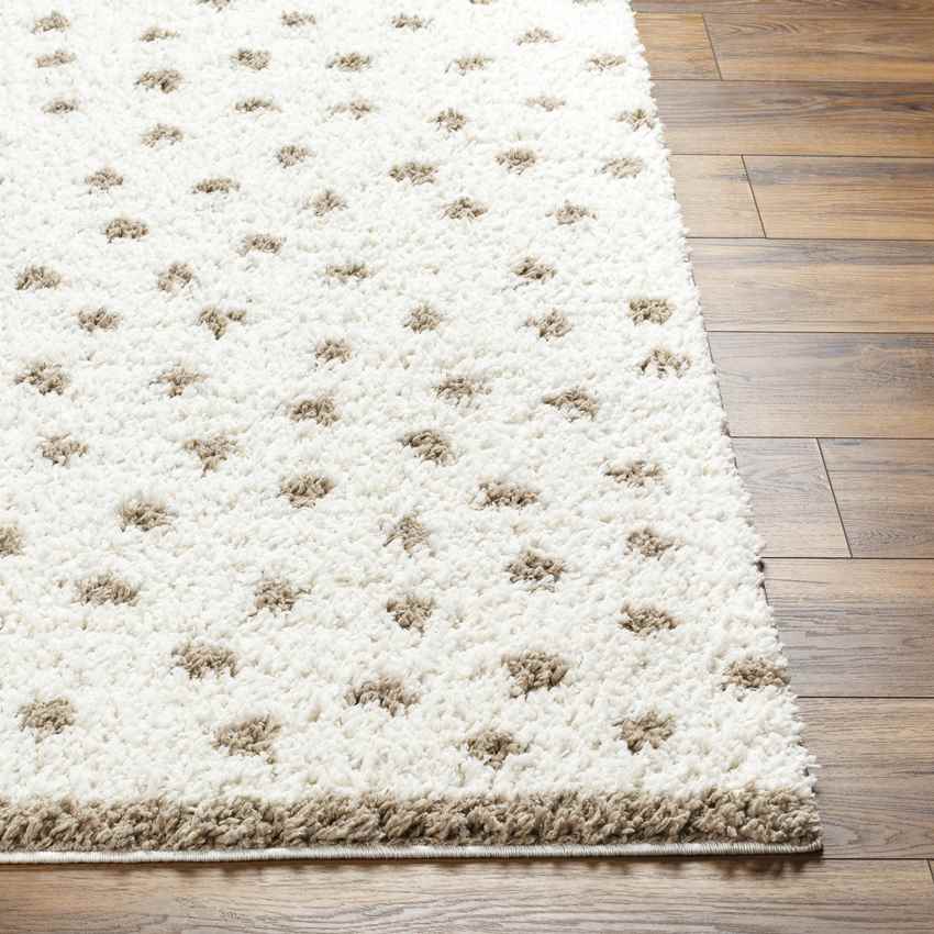 Aerica Modern Ivory/Brown Area Rug