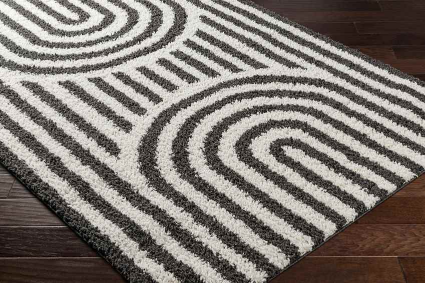 Toshiba Modern Ivory/Black Area Rug