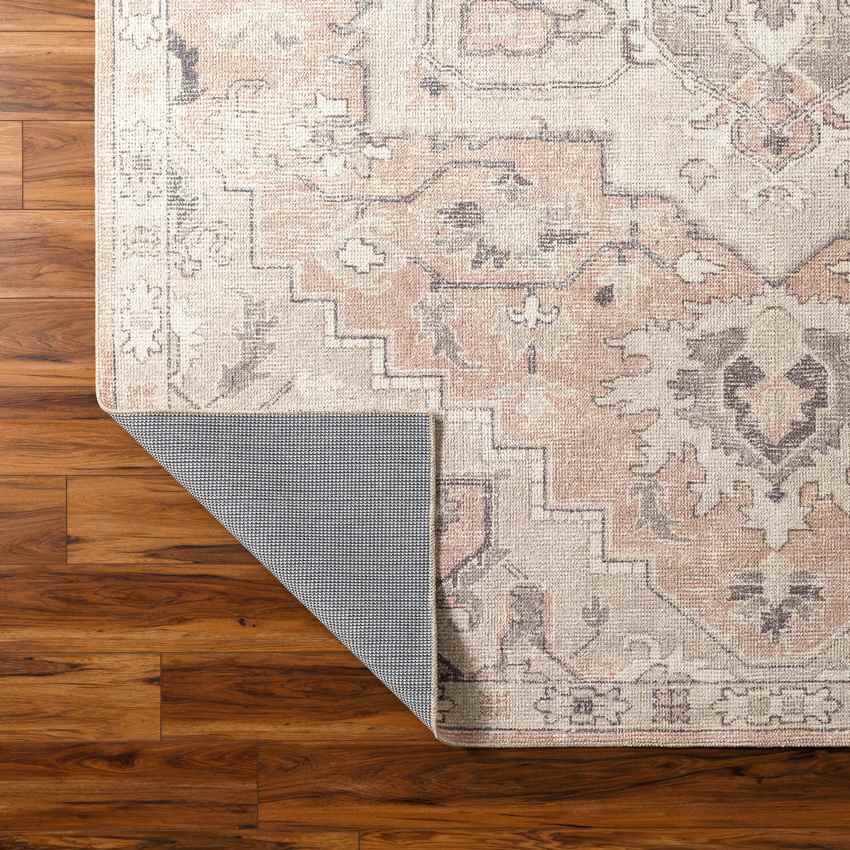 Korrina Traditional Salmon Area Rug - Contemporary Charm