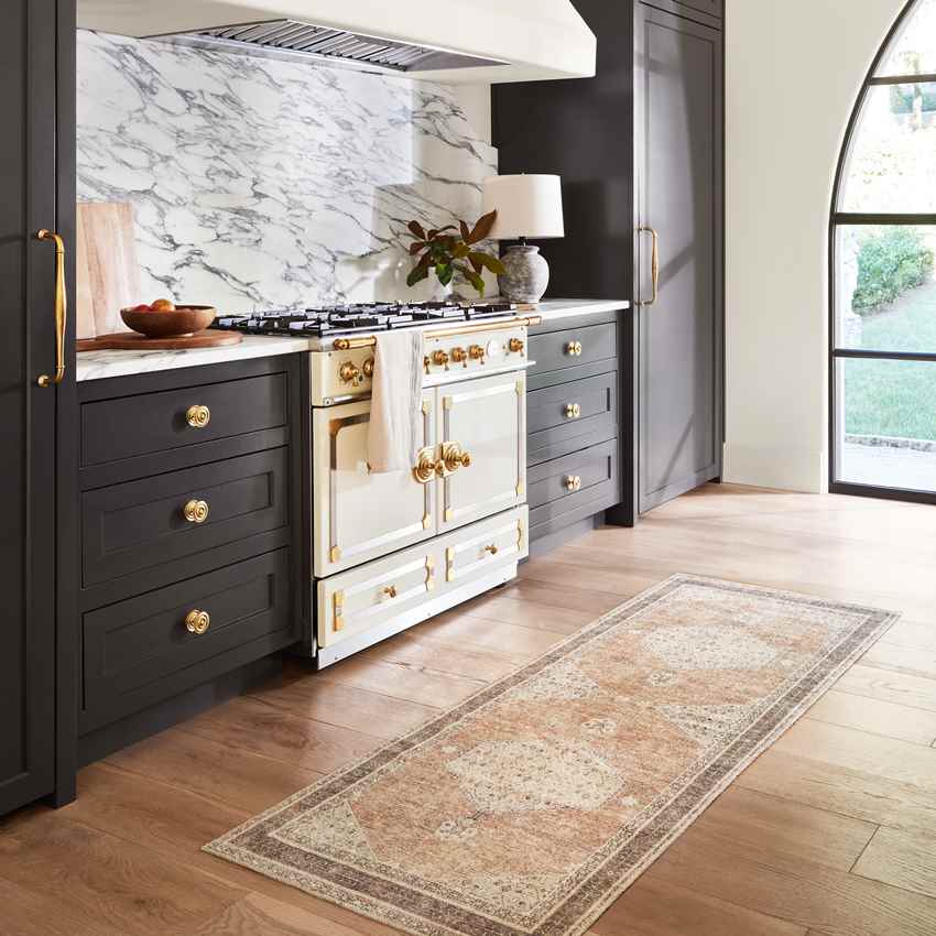 Lila Traditional Cinnamon Area Rug - Becki Owens x Livabliss