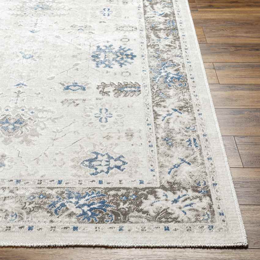 Jarin Traditional Cobalt/Taupe Area Rug