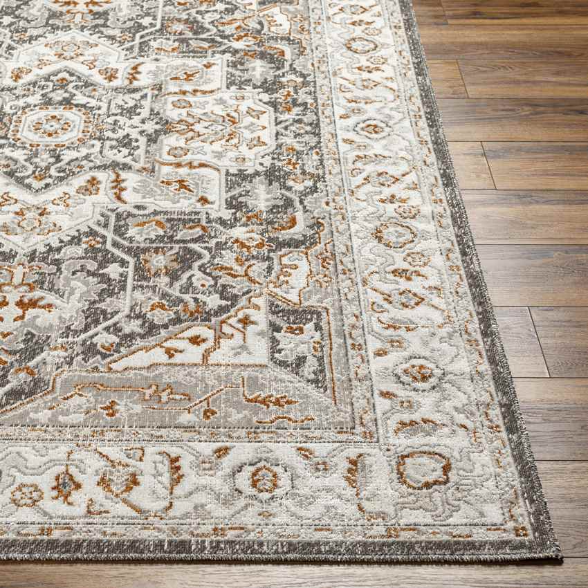 Kortny Traditional Ivory/Dark Brown Area Rug