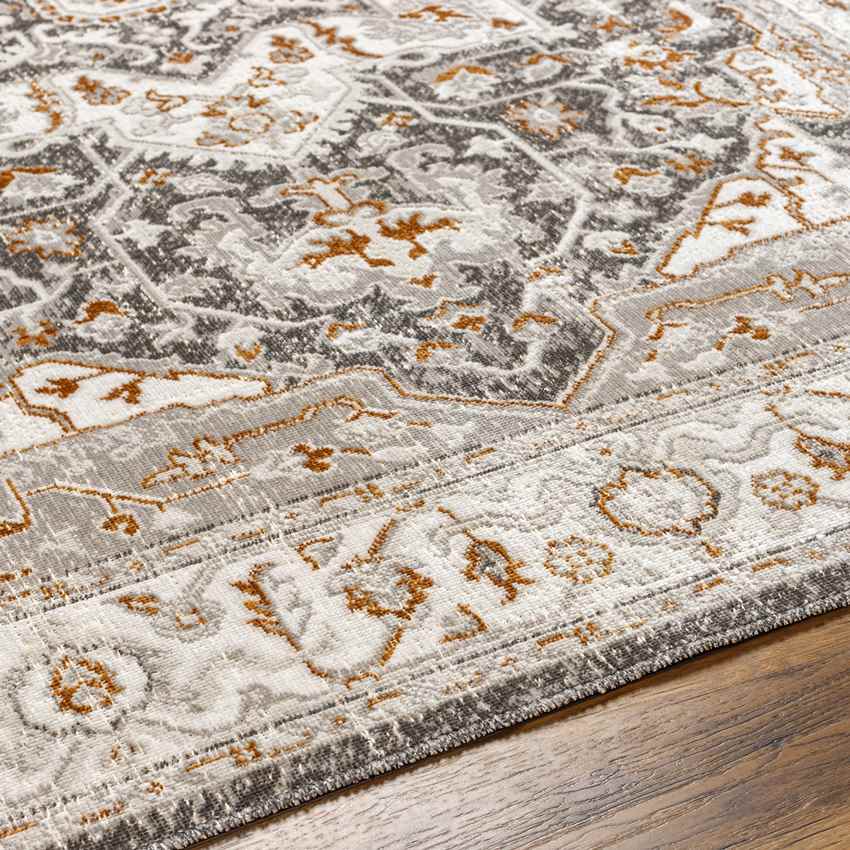 Kortny Traditional Ivory/Dark Brown Area Rug