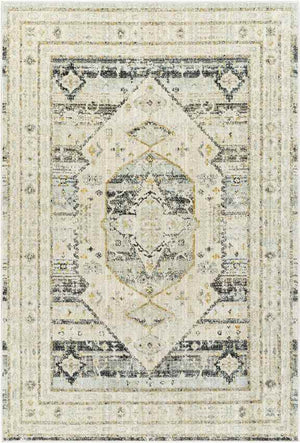 Javonte Traditional Light Beige/Pale Blue Area Rug