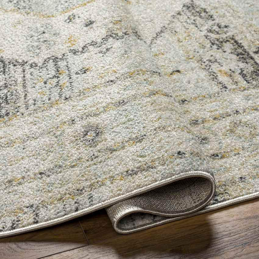 Javonte Traditional Light Beige/Pale Blue Area Rug