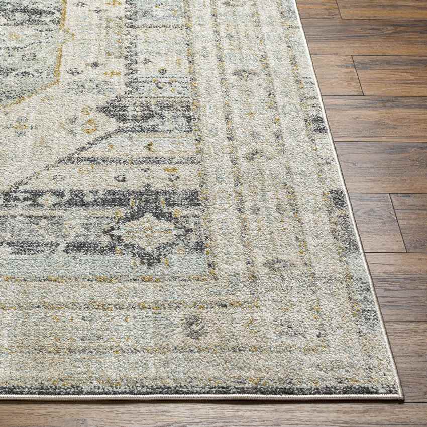 Javonte Traditional Light Beige/Pale Blue Area Rug
