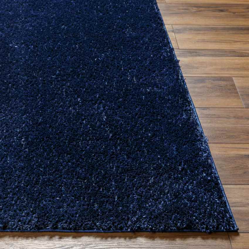 Dalon Modern Cobalt Area Rug