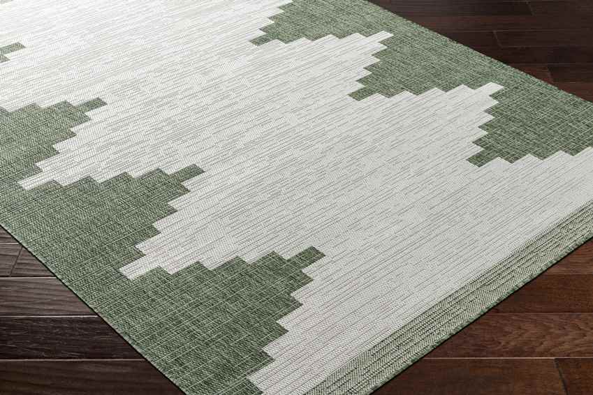 Wolfheze Global Olive/Gray Area Rug