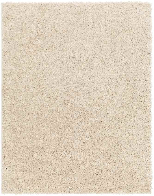 Charon Modern Beige Area Rug