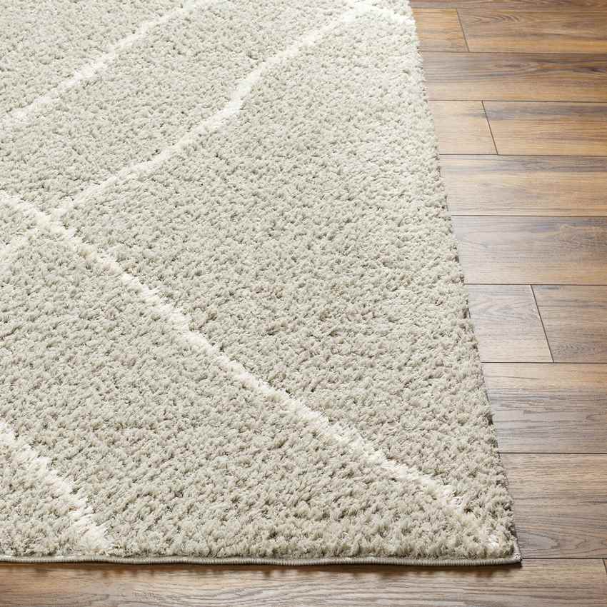 Georgette Global Beige/Tan Area Rug