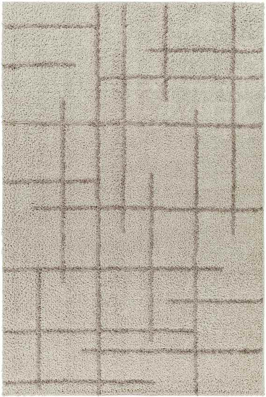Lyndy Modern Light Brown Area Rug