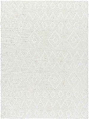 Gullermo Modern Ivory Area Rug