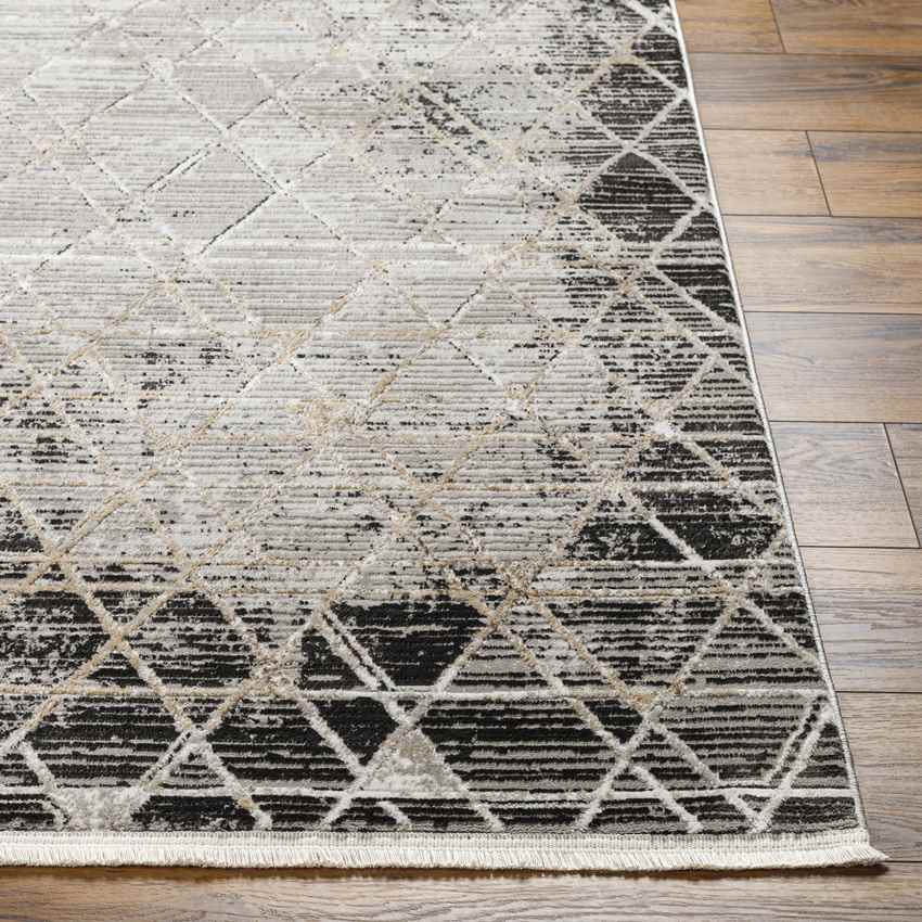 Glynis Modern Black/Light Gray Area Rug