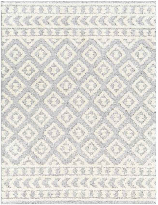 Shatora Modern Light Gray Area Rug