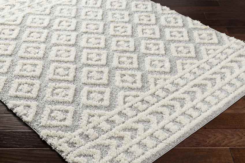 Shatora Modern Light Gray Area Rug
