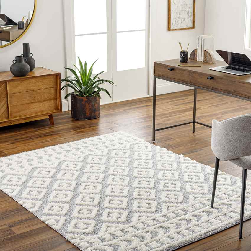 Shatora Modern Light Gray Area Rug