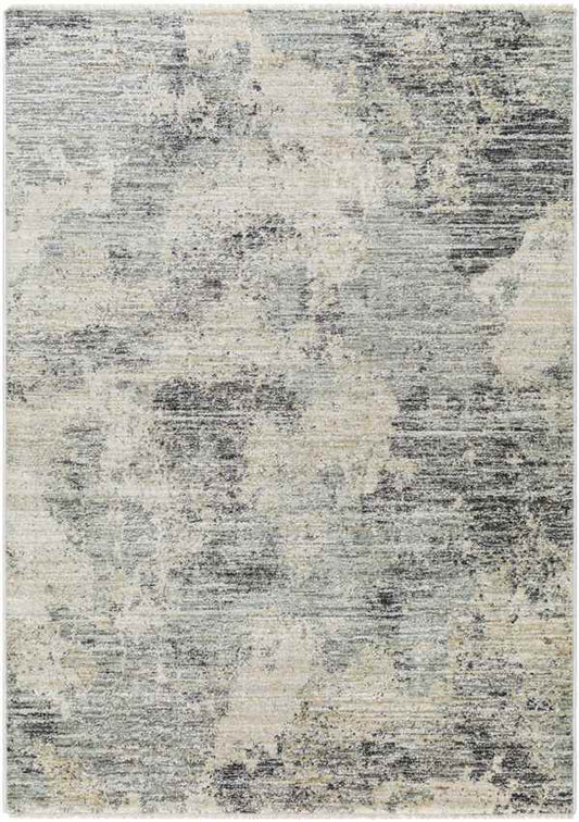 Sahwn Modern Black/Light Gray Area Rug