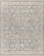 Tavian Traditional Beige/Denim Area Rug