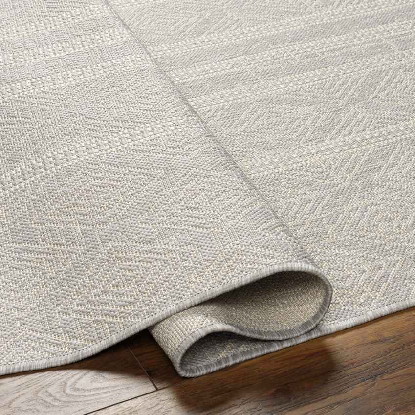 Christophr Global Light Gray/Cream Area Rug