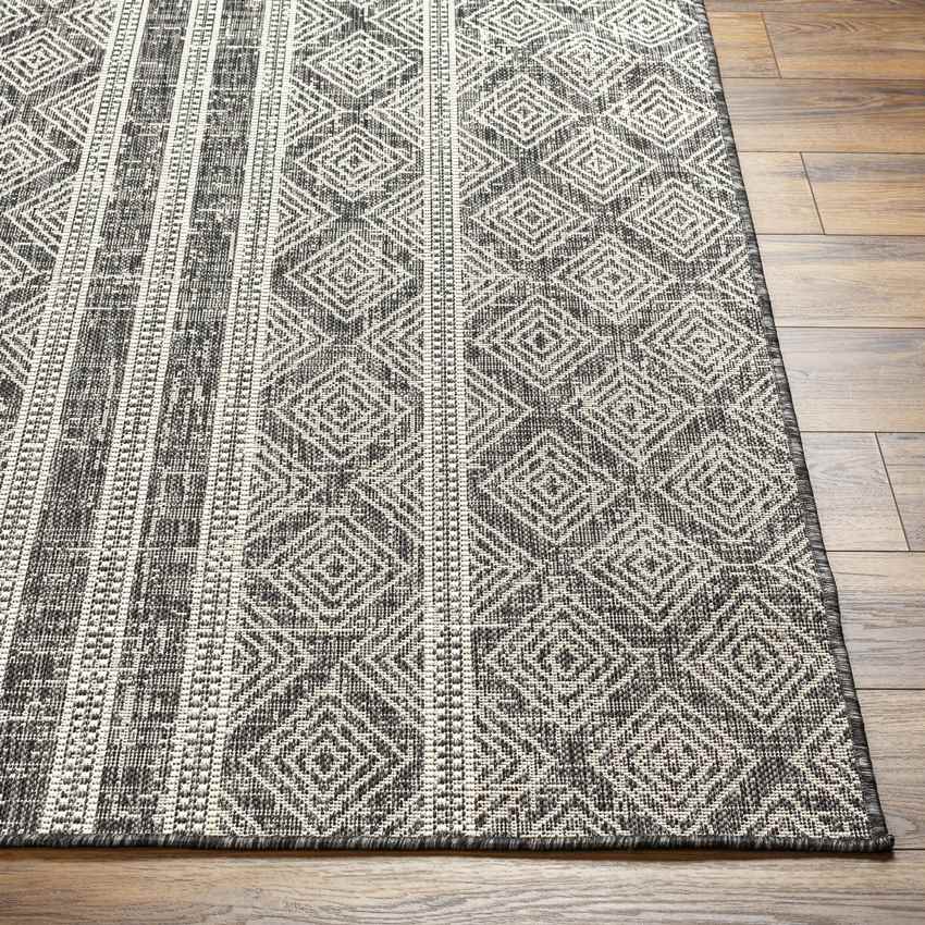 Christophr Global Black/Cream Area Rug