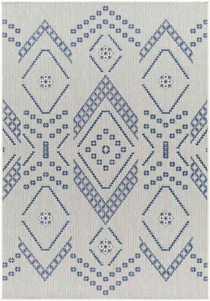 Tana Global Navy/Ivory Area Rug