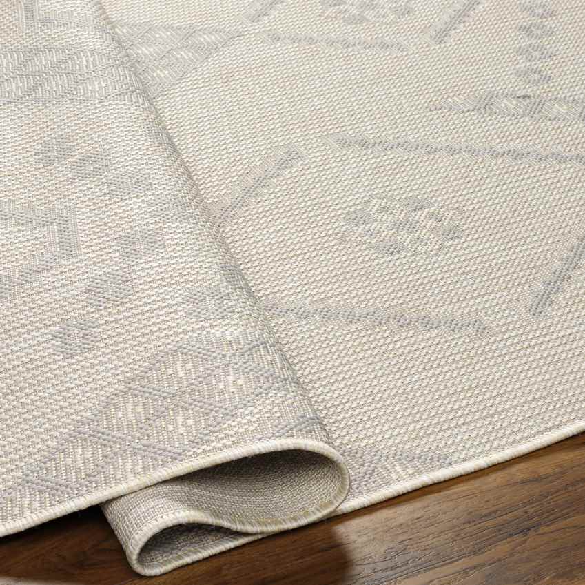 Tana Global Light Gray/Ivory Area Rug