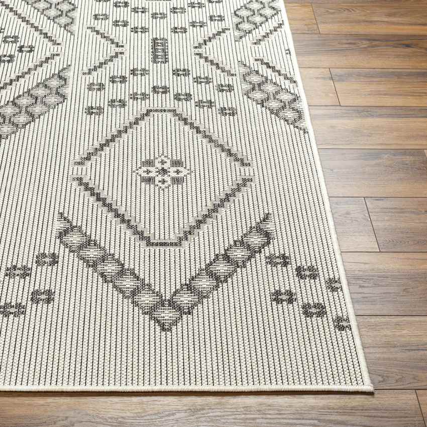 Tana Global Black/Ivory Area Rug