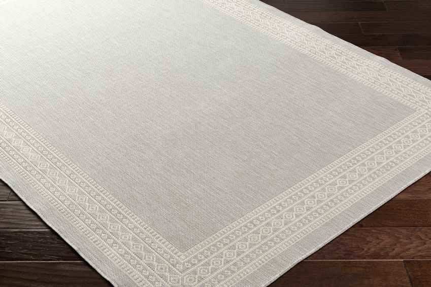 Terell Modern Light Gray Area Rug