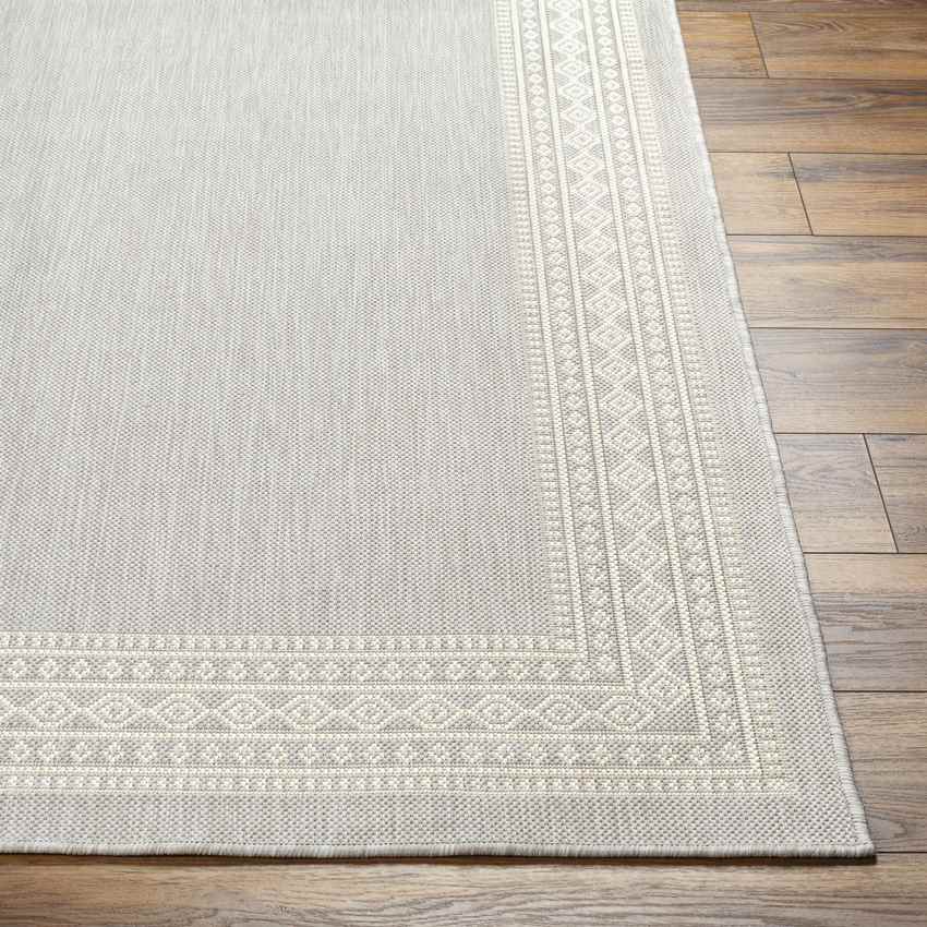 Terell Modern Light Gray Area Rug