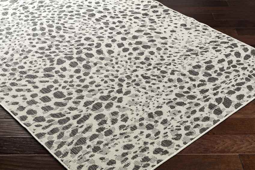 Olan Modern Black/Beige Area Rug
