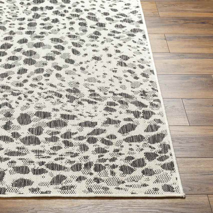 Olan Modern Black/Beige Area Rug
