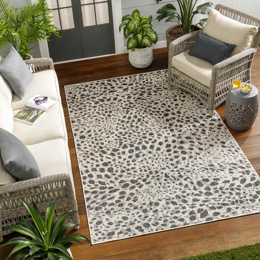 Olan Modern Black/Beige Area Rug