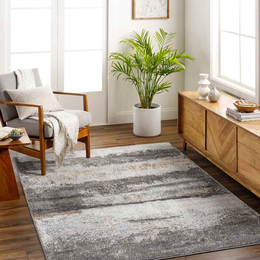Lou Modern Charcoal/Off-White Area Rug