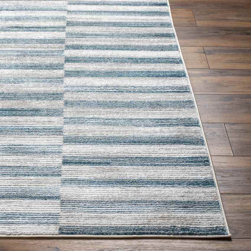 Jonthan Modern Dark Teal Area Rug