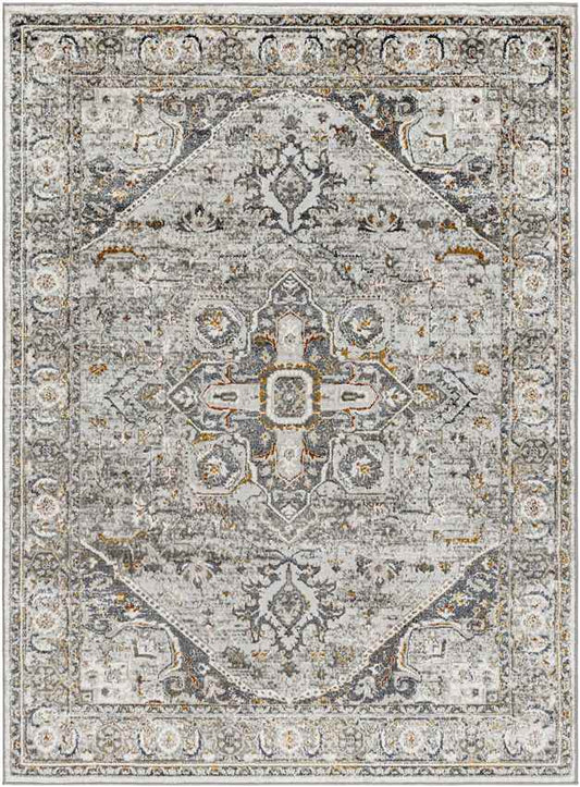 Jessyca Traditional Dark Brown/Silver Gray Area Rug