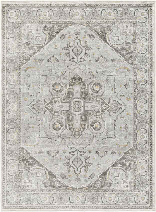 Jessyca Traditional Silver Gray Area Rug