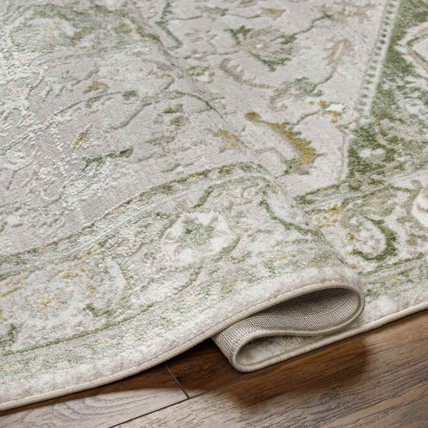 Jessyca Traditional Moss Green Area Rug