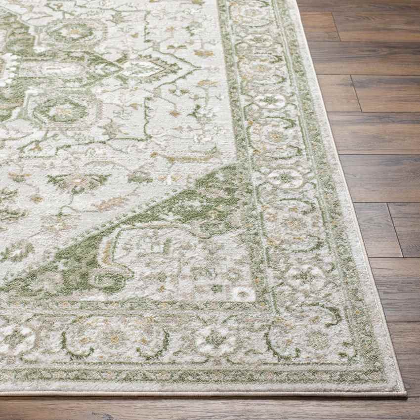 Jessyca Traditional Moss Green Area Rug