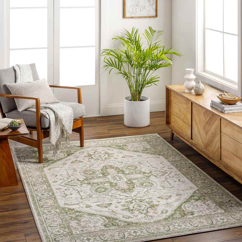 Jessyca Traditional Moss Green Area Rug