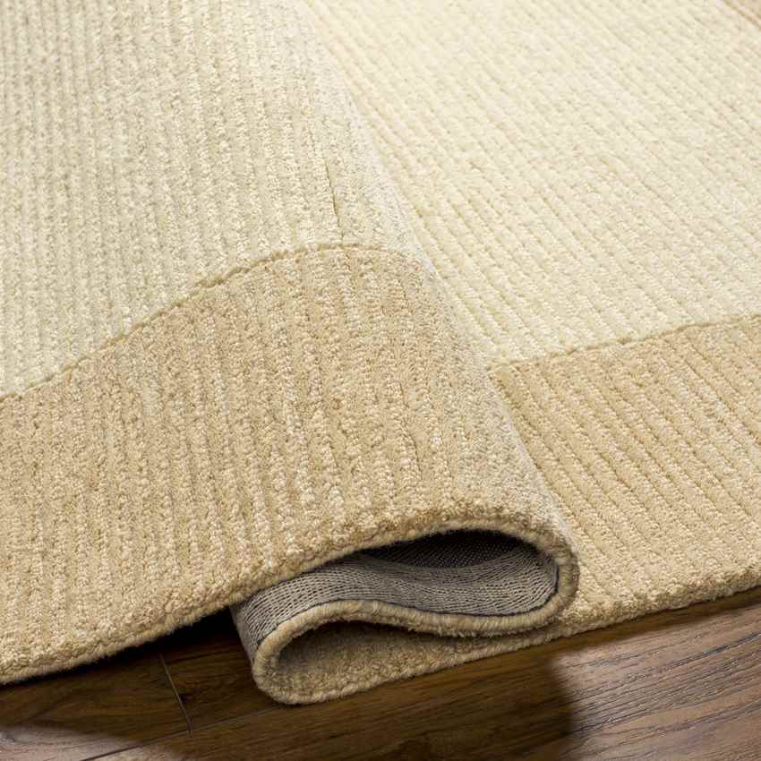 Scot Modern Beige/Apricot Area Rug