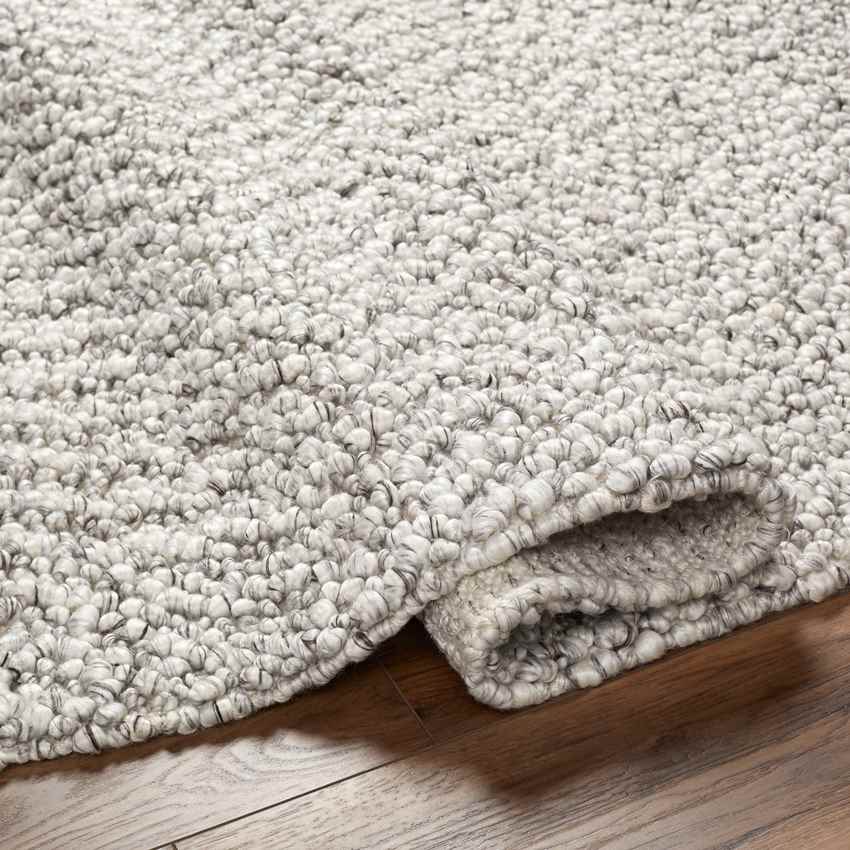 Leonora Modern Light Gray/Off-White Area Rug